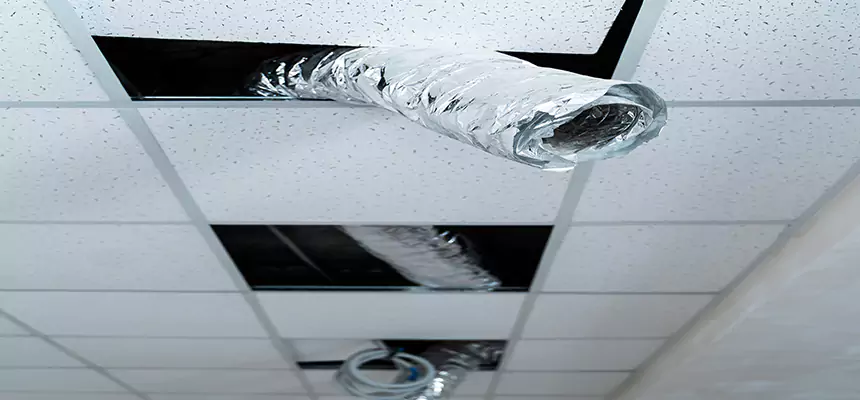 Affordable HVAC Sanitizing After Pest Removal in Mount Clemens