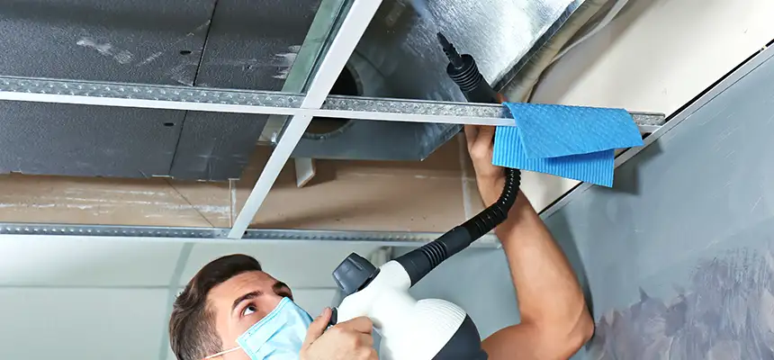 Our Air Duct Rodent Removal Services in Mount Clemens, MI