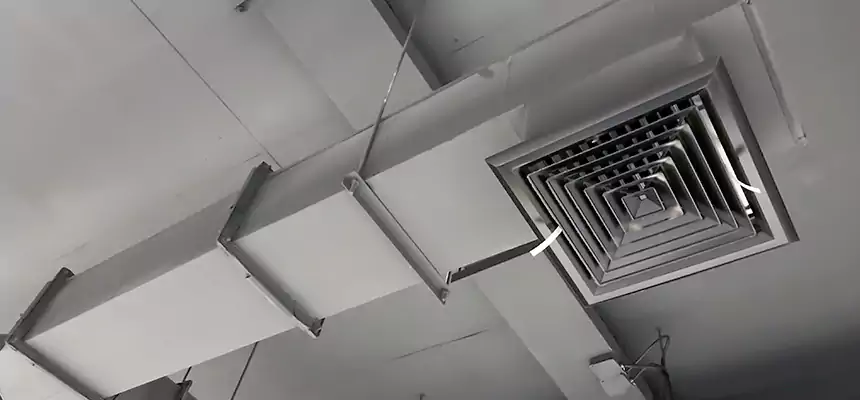 Our Rodent Droppings In Vents Services in Mount Clemens, MI