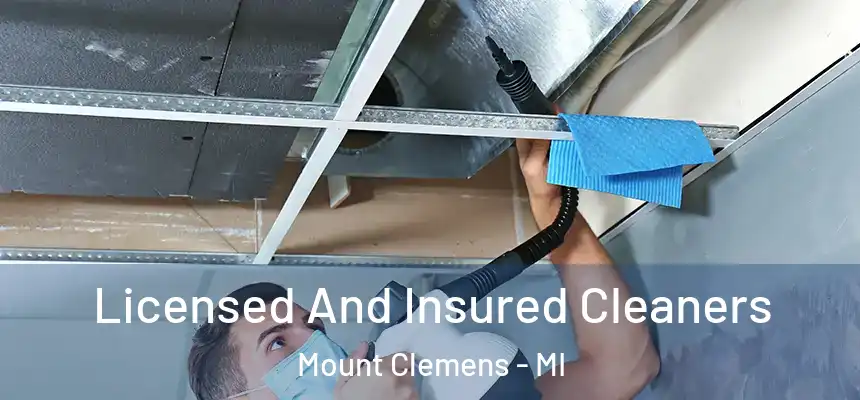  Licensed And Insured Cleaners Mount Clemens - MI