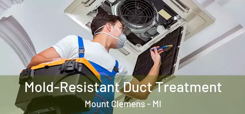  Mold-Resistant Duct Treatment Mount Clemens - MI