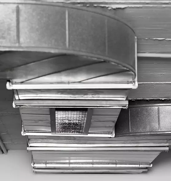 Professional Air Duct Pest Removal in Mount Clemens, MI