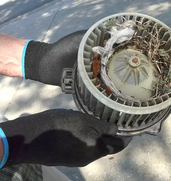 About Air Duct Rat Removal in Mount Clemens, MI