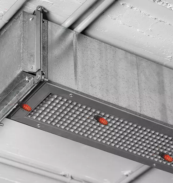 Affordable Insect Removal from Air Ducts in Mount Clemens, MI