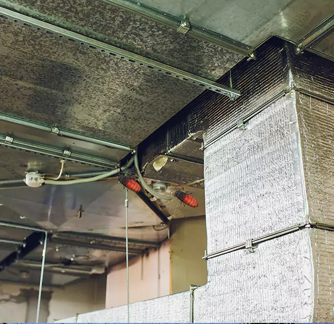 Why Homeowners & Businesses Trust Us in Mount Clemens, MI?