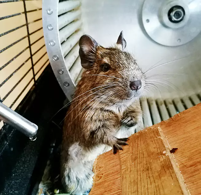 Why Homeowners & Businesses Trust Us Mount Clemens, MI