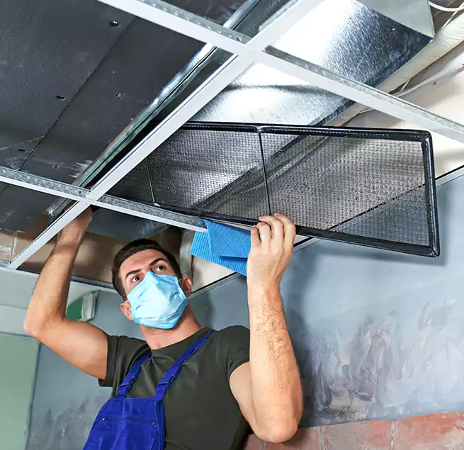 Why Homeowners Businesses Trust Us in Mount Clemens, MI